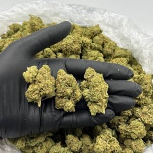 Purple Oreoz strain