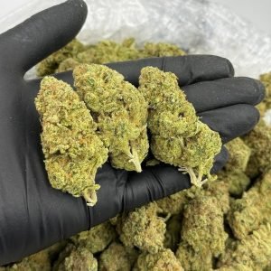 Banjo Strain