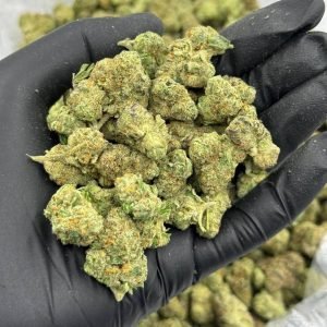 Fruit Loops strain