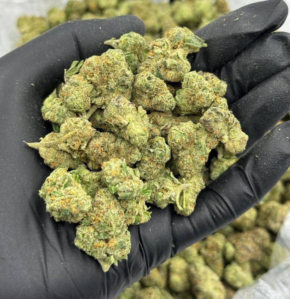 Fruit Loops strain