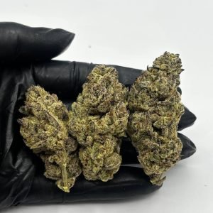 Secret cookies strain