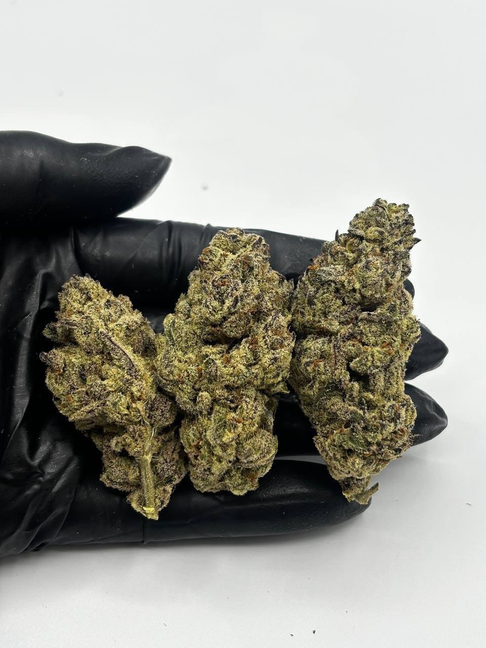 Secret cookies strain