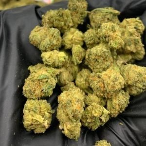 Gelato 33 strain